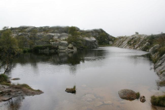 すごく澄んだ水の、きれいな池がありました。途中の案内板には泳げるようなマークが記されてありましたが・・・。暑かったら泳ぎたい。