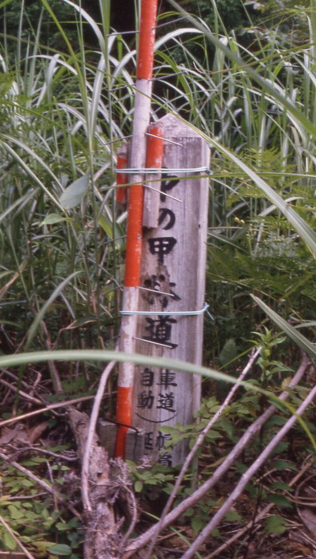 林道標識