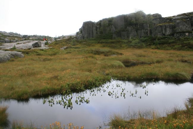 ようやく雨も上がり、湿地帯が続きます。足元は大きな岩(岩盤？）なので、比較的歩きやすいかったです。