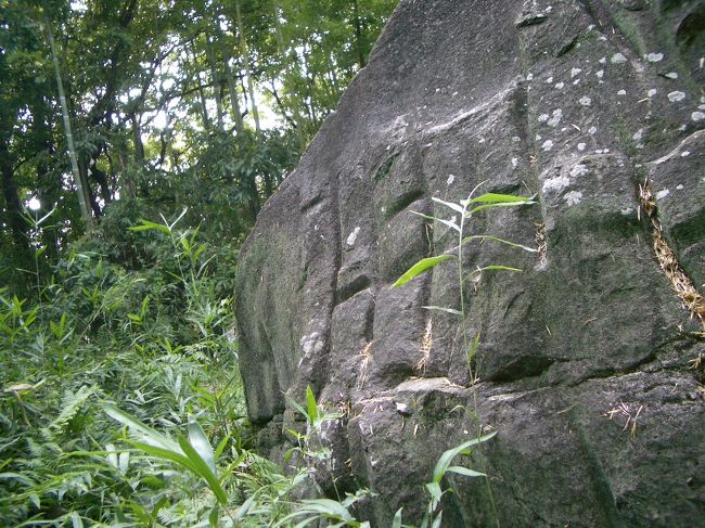 ■想い出さがし奈良１１５０ｋｍの旅<br /><br />●益田の岩船<br />　巨石の裾まわりには、格子状の溝があり、石の表面を平らに仕上げるための工程がわかるそうです。