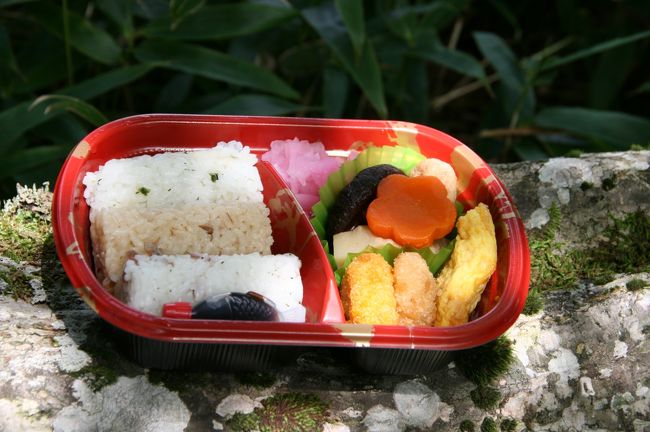 駅で買ってきたお弁当を食べてエネルギー補給し、もうひとつ上の日出ヶ岳へ。<br />展望デッキのほうから日出ヶ岳を見ただけで、その上りにため息がでちゃいます。<br />さあもうひと頑張り！<br /><br />