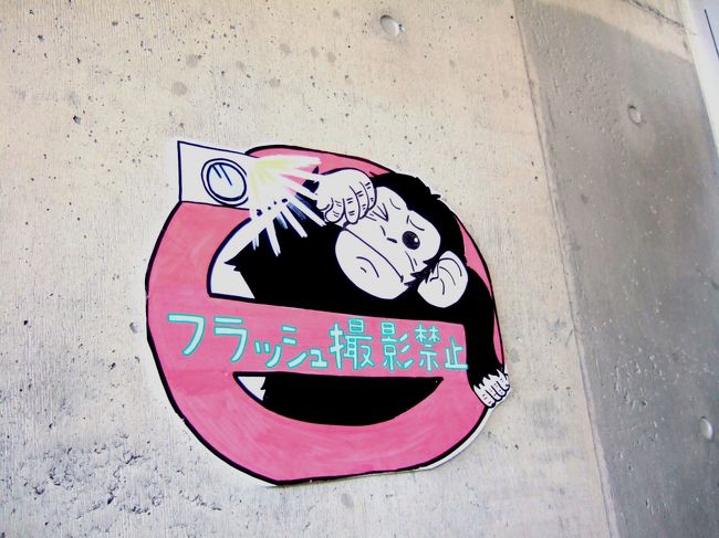 　テレビでもやっていました、動物園ではフラッシュをたかないでね。係員の人も何度も何度もさけんでいましたが、それでも決まりを守らない人がいるのです。