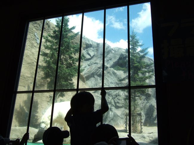 　ホッキョクグマのところ。クマさん外でのんびりしています。