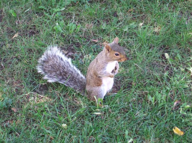 プロスペクト公園