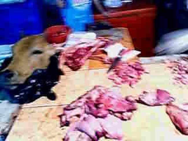 果物が激安！！！でめちゃうまで、マジで泣けた。<br /><br />ウロウロしてたら、現地人だらけですごい面白い！<br />で、これ肉なんだけど牛の頭がまんま乗っかってましたワ。<br />楽しかったぁ〜