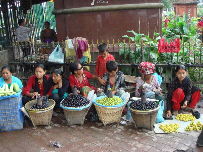 でもここカトマンズの最大の仕事はこれから訪れる、インドとパキスタンのビザの取得だった。。。 <br />パキスタンは日本大使館からレターという面倒な紙をもらわなくてはならず、インドビザは１週間の時間がかかるという、どちらもやっかいなビザだ。。。 <br /><br />無事ビザの取得もできたので、そろそろ次の場所に移動しようかと思ってきた。。。 <br />