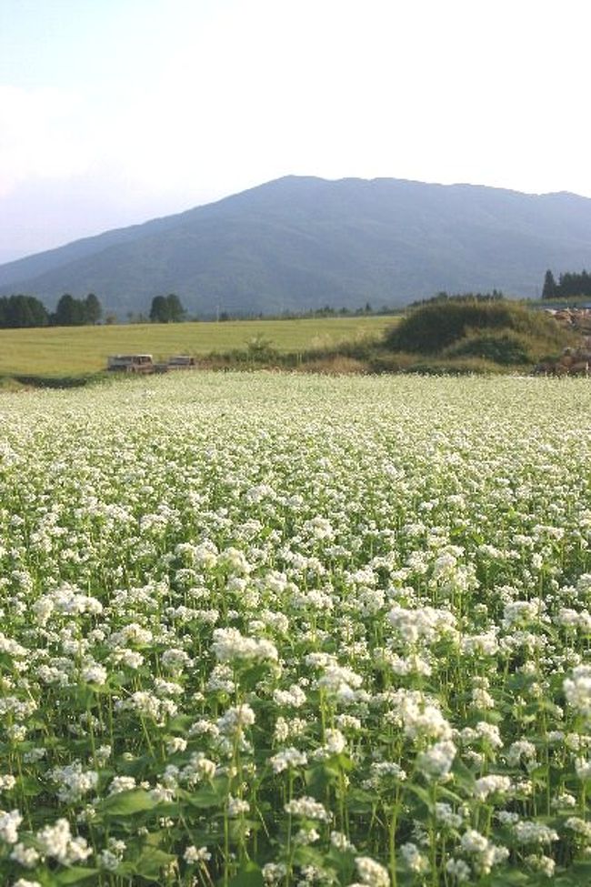 車で岐阜 中津川 椛の湖 そばの花 中津川 岐阜県 の旅行記 ブログ By シベックさん フォートラベル 車で岐阜 中津川 椛の湖 そばの花 中津川 岐阜県 の旅行記 ブログ By シベックさん フォートラベル