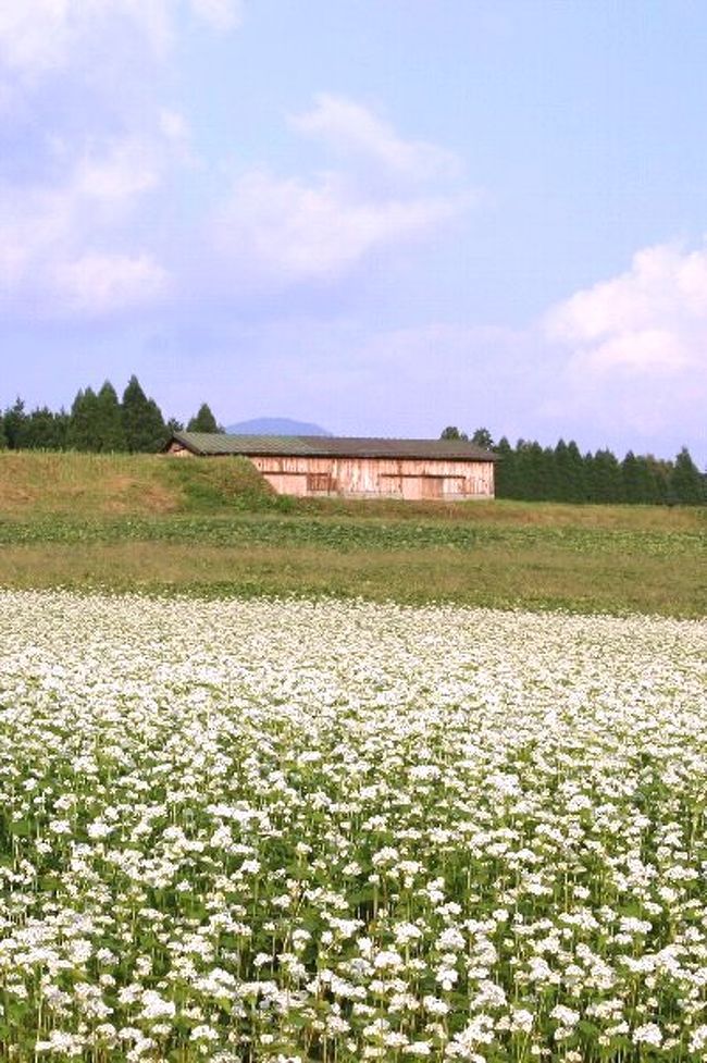 車で岐阜 中津川 椛の湖 そばの花 中津川 岐阜県 の旅行記 ブログ By シベックさん フォートラベル 車で岐阜 中津川 椛の湖 そばの花 中津川 岐阜県 の旅行記 ブログ By シベックさん フォートラベル