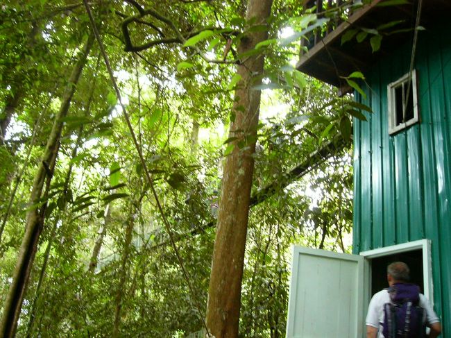 ちょっと見上げると吊り橋が！！よく分からないかも知れませんが、だいぶ高いんです。