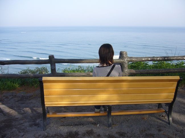 映画「シュリ」のラストシーンで使われた<br />有名なベンチ。<br />新羅済州ホテルの敷地内にあります。<br />ちょっと思いを馳せてみたりして・・^^;