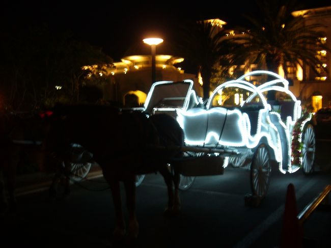 夕飯を食べてホテルへ戻ると、玄関前に<br />馬車が・・・