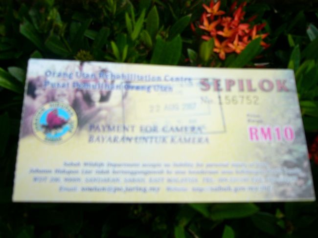 これは撮影チケット？です。カメラで写真撮影をするのにお金がかかります。一人一枚じゃなくて、カメラ一台につき一枚です。