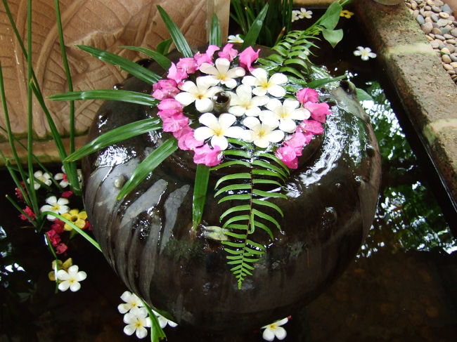入り口付近には、綺麗な花がありました☆