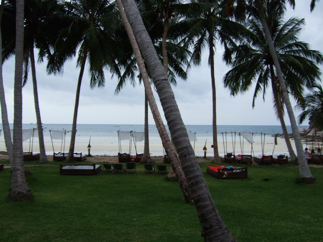 目の前に広がる綺麗な海。<br />庭にはヤシの木が生えていて、とてもゆったりとした雰囲気。