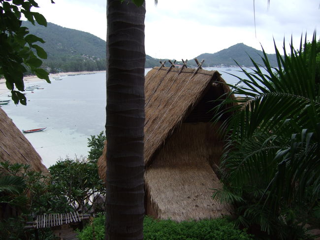 部屋からの眺め?