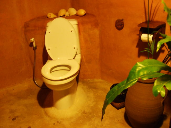 トイレも屋外。<br />虫が出そうなので注意。笑