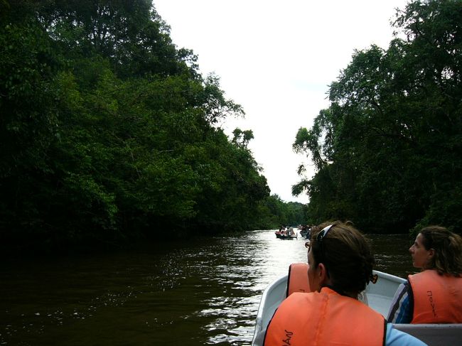 段々幅が狭くなってきました。何かがいそうな雰囲気です。