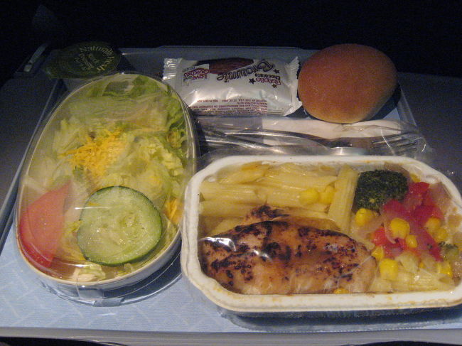 ヒューストンからブエノスアイレスまでの機内食