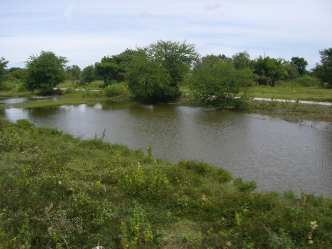 こちらも車内からの景色☆<br /><br />途中馬とか見えたりもする◎