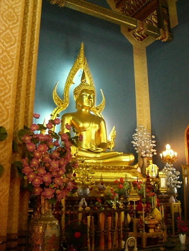 横から撮った感じ！！