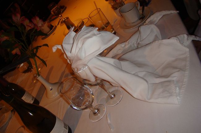 こちらは白鳥！Ewinさんが作ってくれたものと同じです。<br />こうして充実した4日目のクルーズが終わりました。