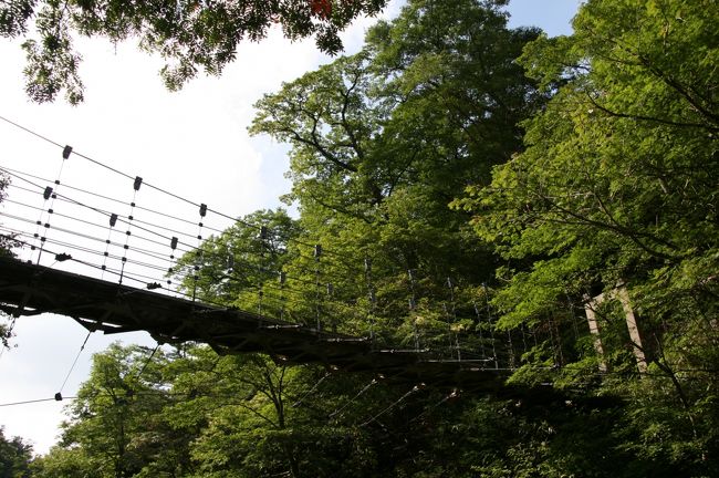 大蛇からの道は急な下りが続き下りるのが大変。<br />シオカラ吊橋の下の川で買ってきた柿の葉寿司を食べながらちょっと休憩(^^)<br />