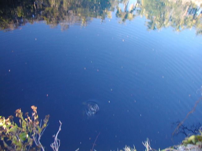 泉も神秘的です。