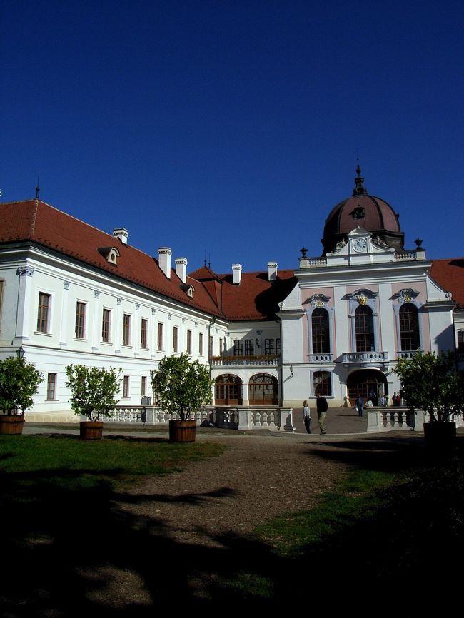 裏庭から見た眺め。