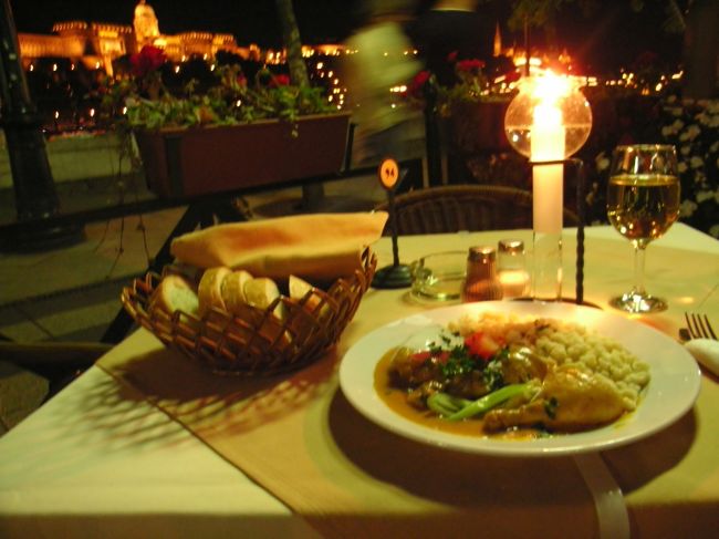 ドナウ川沿いのレストラン<br />【Dunacorso Etterem】にて。<br />ああ、夜景が美しい…。<br />しかもバイオリンの生演奏つきです。<br /><br />ハンガリー最後の晩餐に、<br />「パプリカチキン」と「白ワイン」、<br />食後に「コーヒー」をいただきました。<br /><br />パプリカチキンは、お肉が骨から<br />ホロリとはなれる柔らかさ。<br />本当においしかったです。