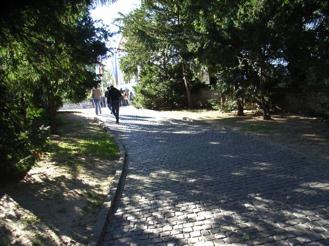 【ゲデレー城】までの道。<br />木漏れ日が気持ちよかったです。