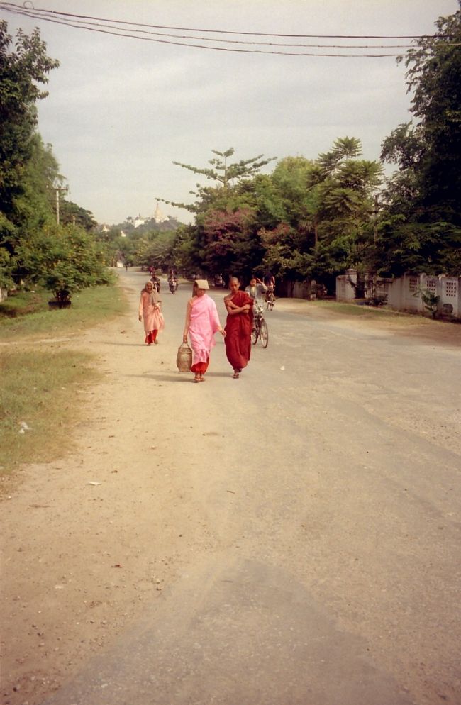 テラシン(尼僧)