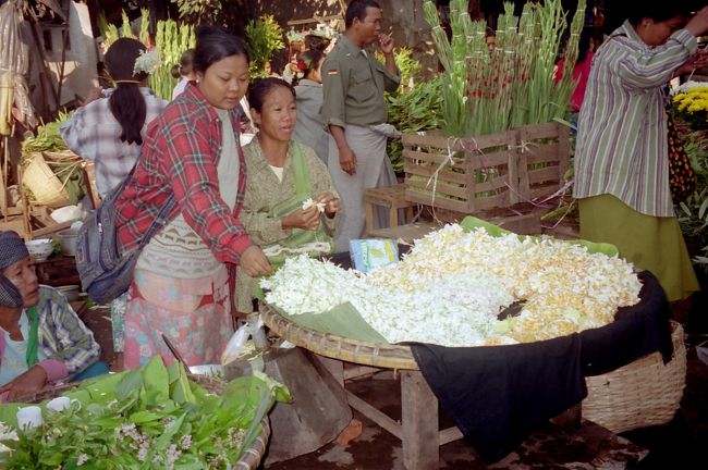 優しい花屋のおばちゃん。良い匂いのランを胸にさしてくれた