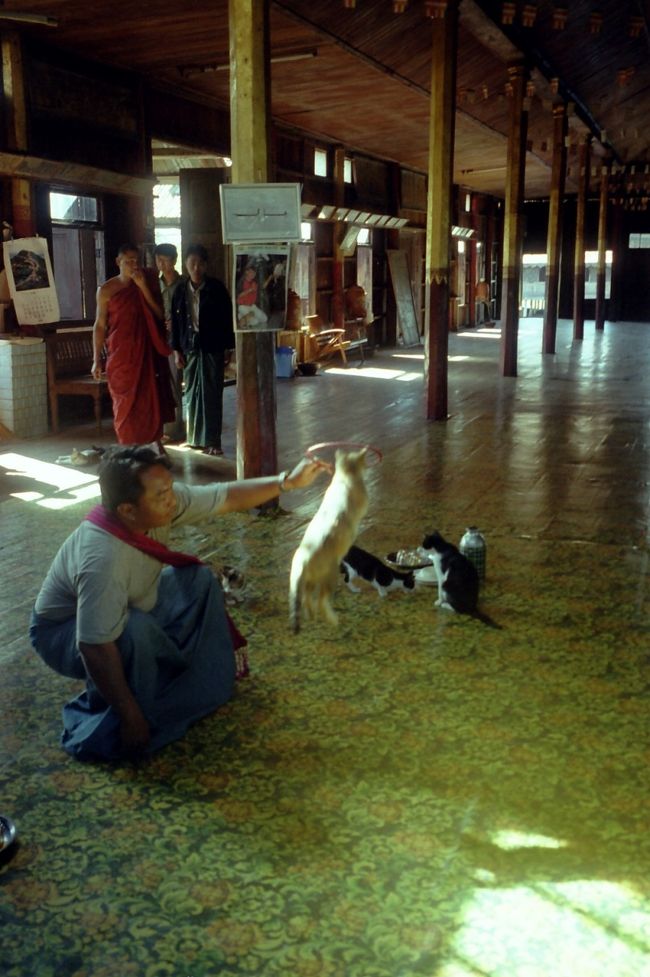 ガーペー僧院は別名ジヤンピングキャツトモナストリー