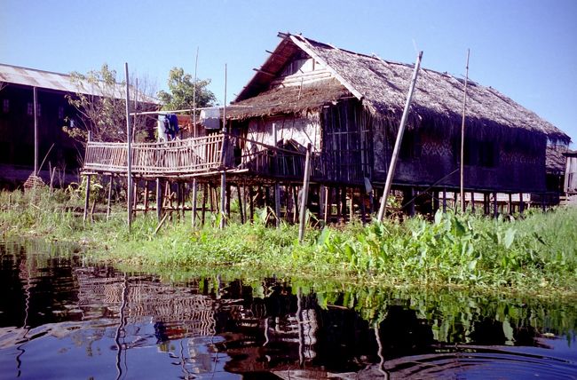 湖の藻や泥を使って野菜を栽培、ミニトマトなどを遠くのマンダレーへ出荷している