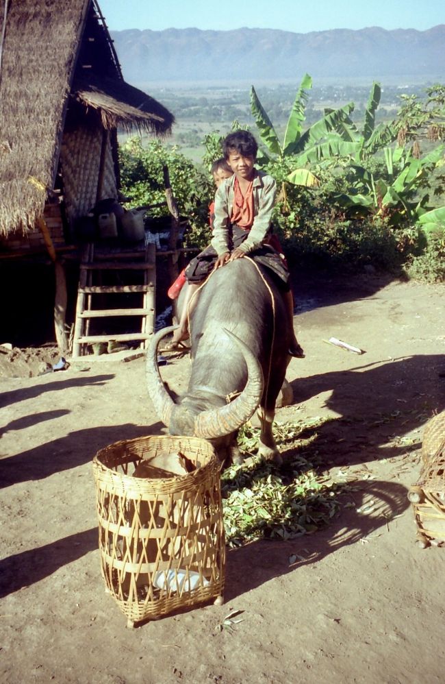 山岳部落を訪れるトレッキングは興味津々