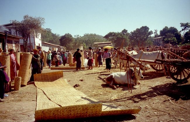 バッファローマーケットもある