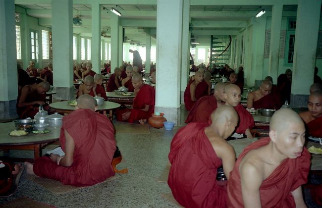 11.00am食事に集まってくる