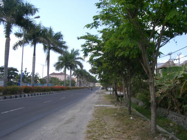 これも風景写真☆<br /><br />南国系の木がいっぱい☆