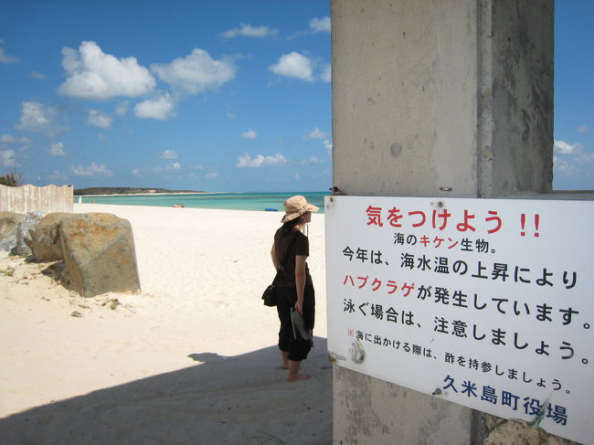 沖縄地方では、有名なハブクラゲ。さされて死ぬこともあるそうです！くわばらくわばら・・・。