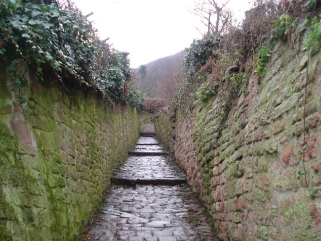 そこから坂道を登っていくと・・・