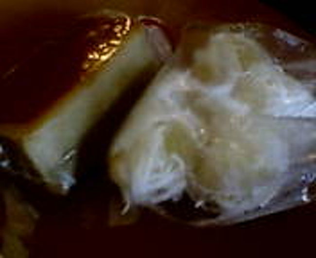 市場内で、女子学生が賑わう甘味を売る店を発見！<br /><br />私もまじって、買ってみた。<br />なんかどれもこれも、餅米、団子系でハイカロリーそうだなあ<br /><br />ココナッツがまぶしてあるお団子と、ココナッツと卵黄でできたプリンのようなタルトみたいなもの（としかいいようがない）を購入。<br />２０っていわれて、散々高すぎる！！といったけど、やっぱ２０だったみたいで、すみません。。