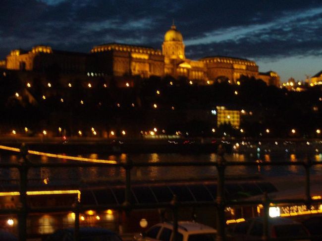 続いて、丘の上の王宮方面です。見た目には大変美しいのですが、暗くて、遠くてフォトは難しいーー。<br />でもきれいです。