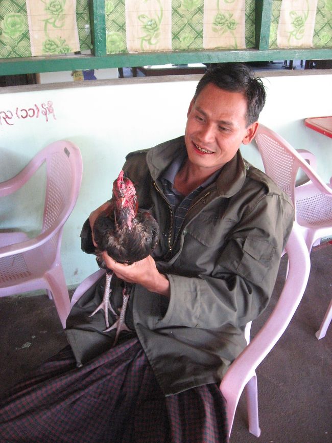 ペットの鶏。<br />大事そうに懐に入れて、一緒に飲みにやってくる。<br />何だか不思議。<br /><br />写真をお願いしたら、誇らしげにポーズをとらせてくれる。<br /><br />モン州では、何回か見かけた光景。