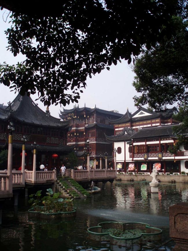 朝の涼しい風と古典庭園の光景が非常にマッチしていて、とても心地が良い。