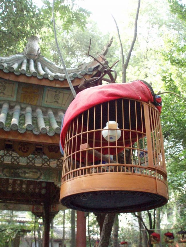 やけに鳥の鳴き声が聞こえると思って、近づいていくと、庭園の真ん中で鳥かごをいくつも木にぶら下げた<br />なにやら騒がしい場所に出会う。<br />なんだ？？