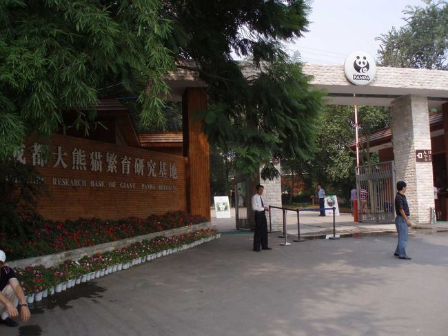 その後、大熊猫研究基地（いわゆるパンダ園）へ。<br />成都中心地から市バスで１時間弱。<br />昼過ぎに到着。暑い！