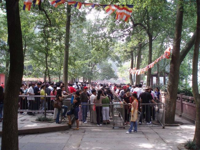 大仏の下に降りるための行列。<br />山の下から階段を登っていくと、この光景。<br />中国人のツアー客の多さに驚き、おそらく数百人はいる、人集まりすぎ！平日でこれだと、休日は。。。<br /><br />この後、さらに２０組（３０人くらいのグループ）以上とすれ違うのであった。。。