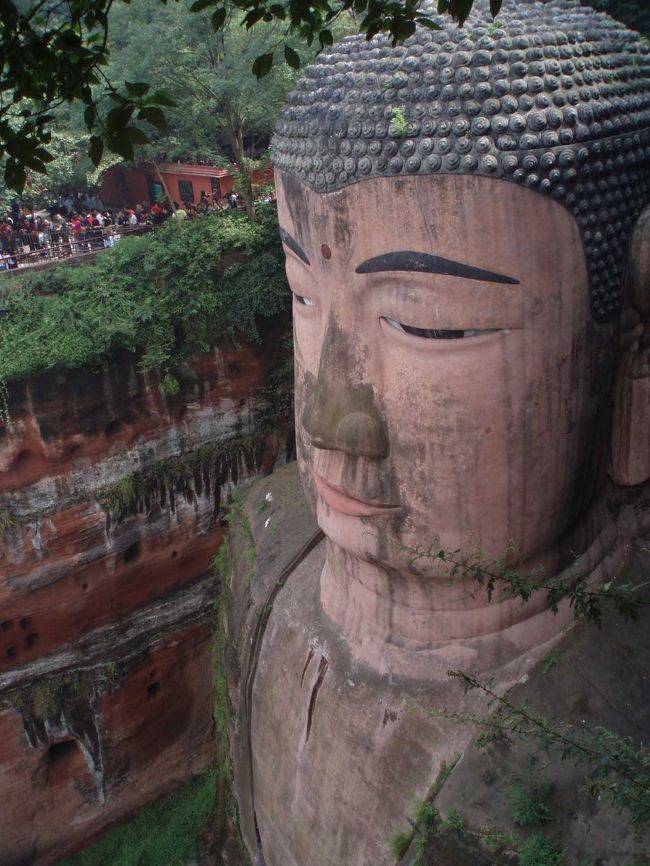 というわけで、人の多さに衝撃を受けながら、大仏ご対面。さすがに世界一、でかい。<br />下から眺めたかったのだが、おそらく２時間以上は、並ぶだろうと、思い断念。<br />なので、上から眺めたこのアングルのみだけであーる。<br />