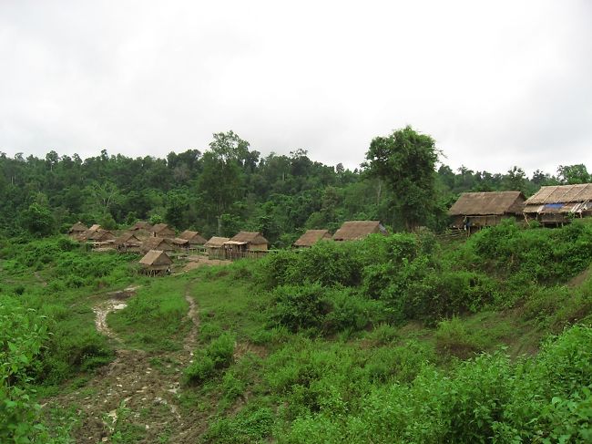 午前9時半ごろ、エレファントキャンプに到着。<br />3時間半ほどかかったけど、道中それ自体が得がたい体験。