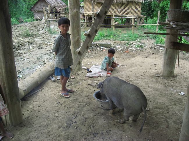 象さんたちが朝の一仕事から帰ってくるまで、小休止。<br /><br />その間に、村の中を散策。<br /><br />エレファントキャンプと言っても、見た目は山の中にあるカレン民族の素朴な村そのものです。